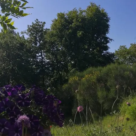 Bed & Breakfast La Merla *