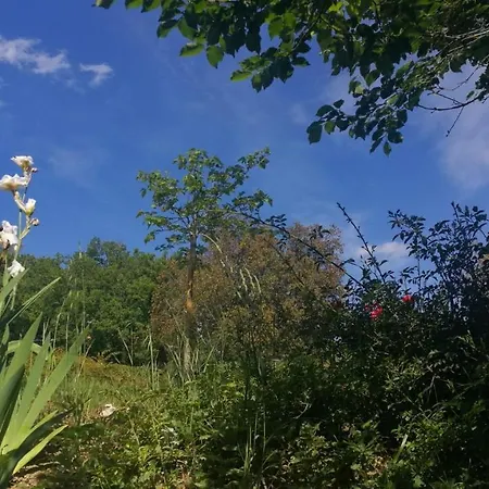 La Merla